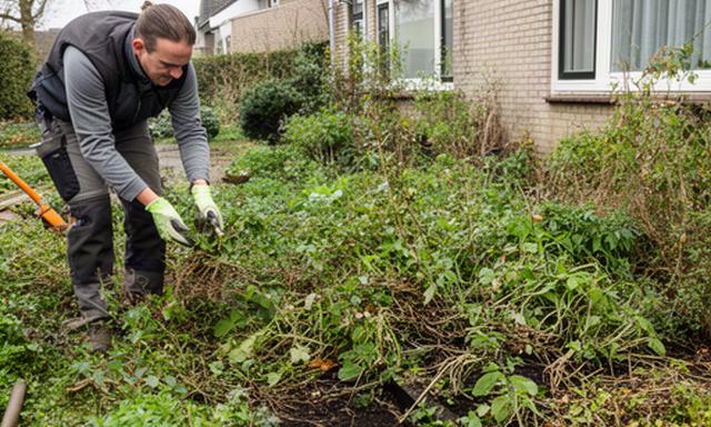 Tuinmedewerker inspecteert een overwoekerde border naast een woning in Schinnen