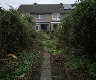 Jarenlang verwaarloosde tuin in Schinnen met dichtgegroeide borders voor de renovatie